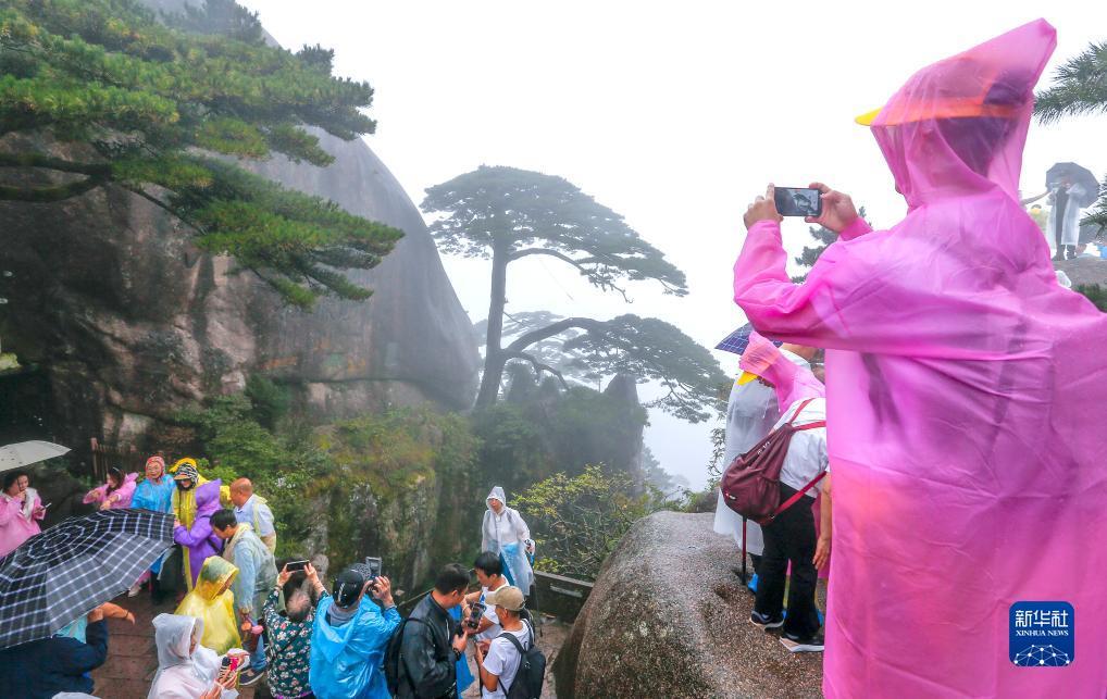 诈金花闷牌技巧
